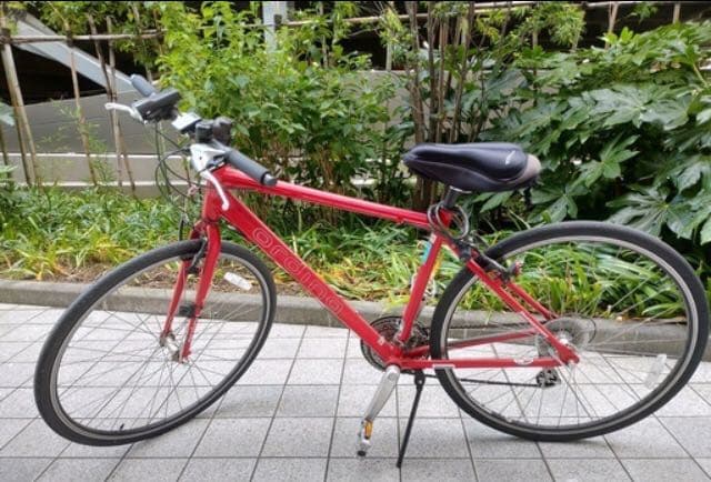 ブリヂストンのクロスバイク ordina（オルディナ）NS548 Fファイヤー