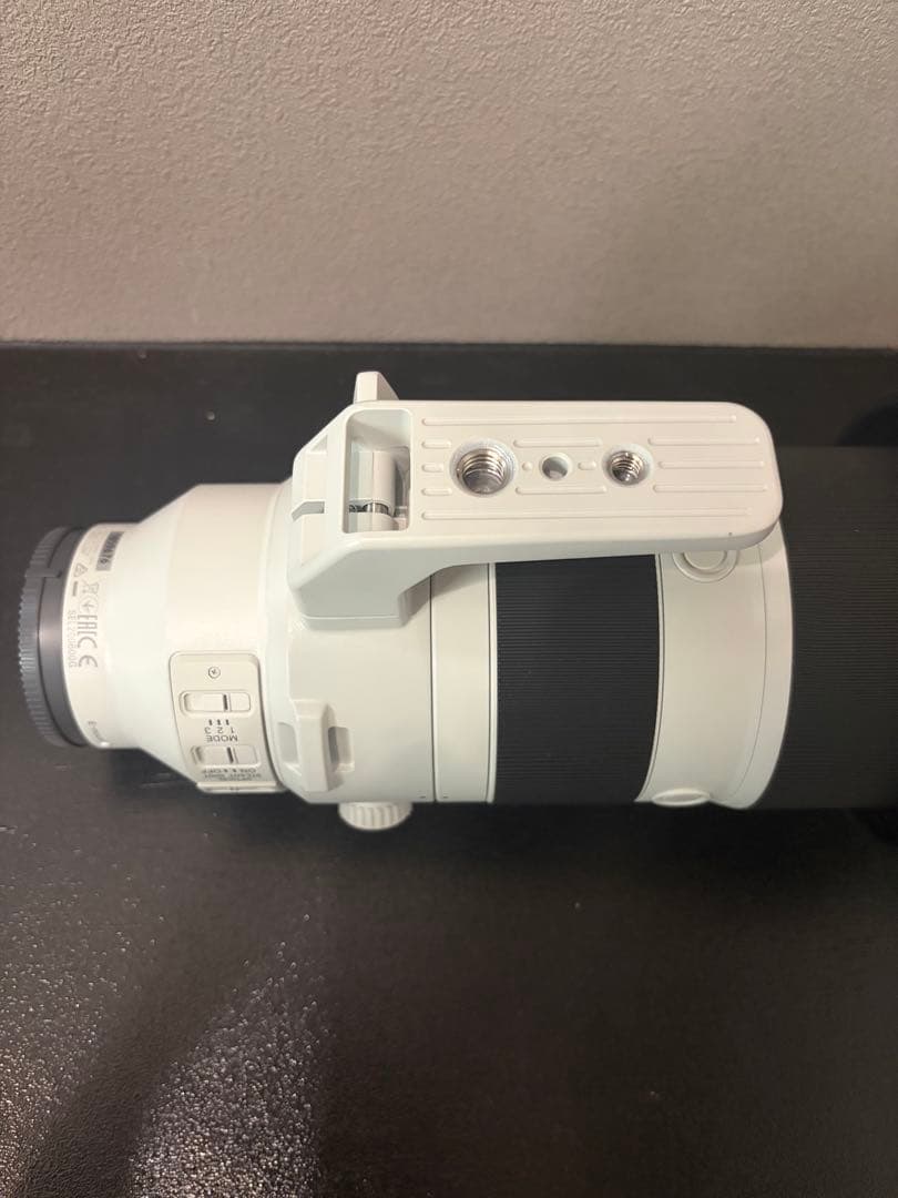 今だけセールSONY sel200-600 G OSS FE5.6-6.3