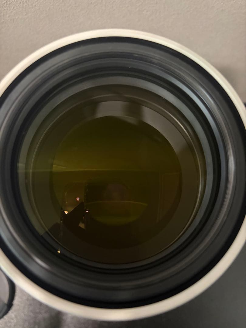 今だけセールSONY sel200-600 G OSS FE5.6-6.3