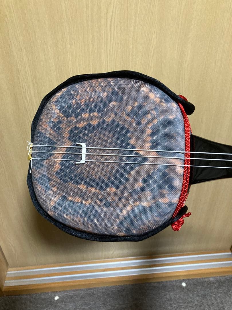 沖縄三線 人工皮 蛇柄 ハードケース 教本付