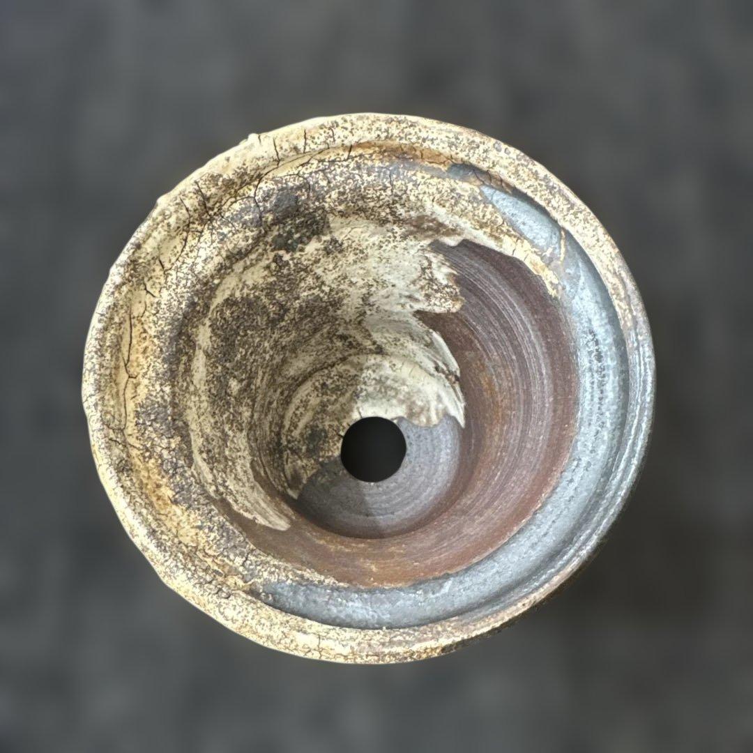 古賀文博　鉢/ アガベ•塊根　鉢