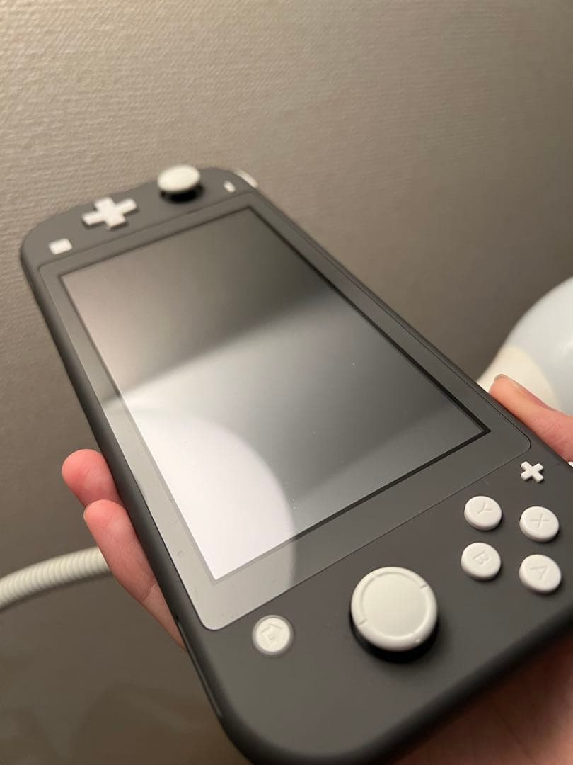 Nintendo Switch Liteあつまれどうぶつの森ソフトセット