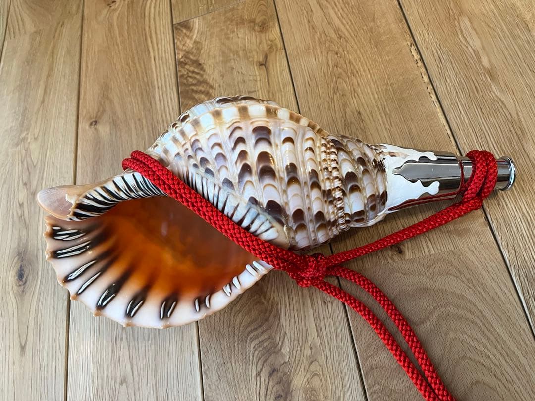 修験道法螺貝 赤紐付き ほら貝 ホラガイ