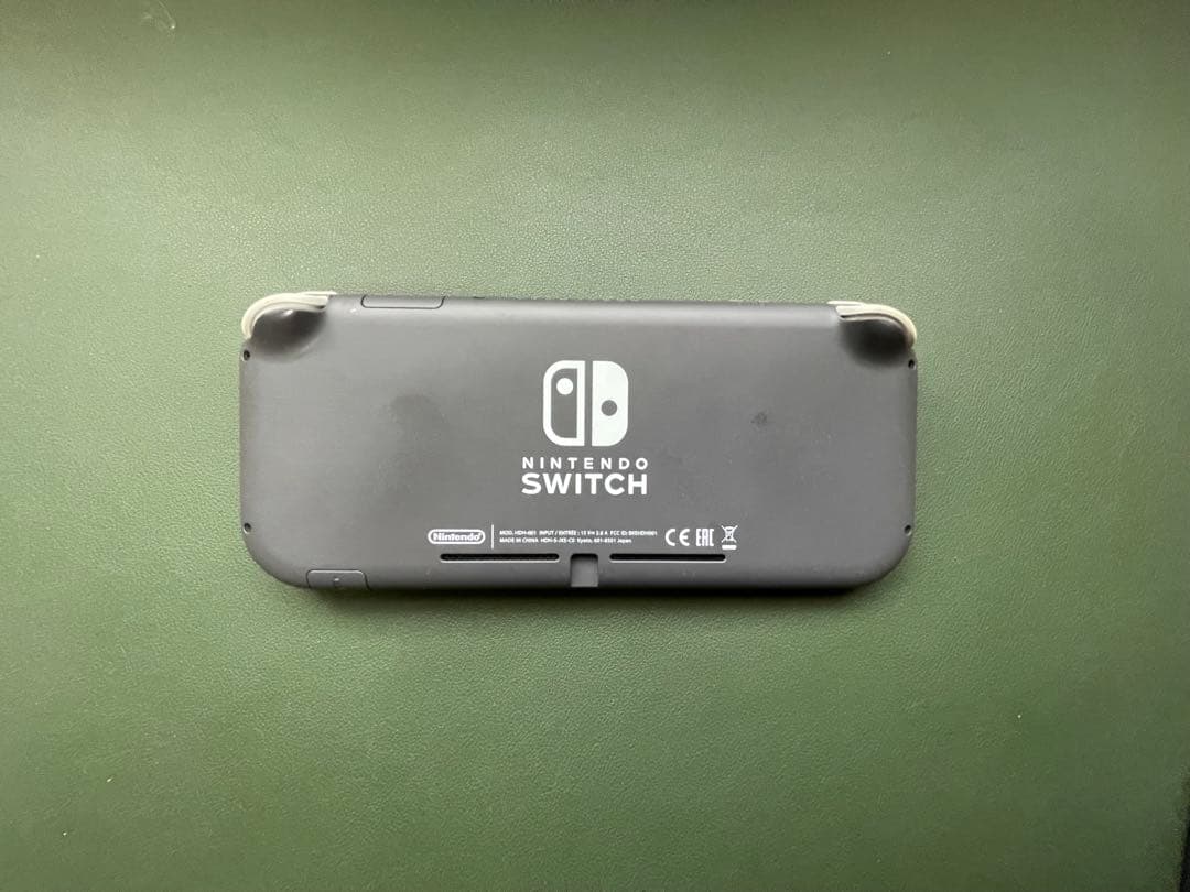 Nintendo Switch Lite グレー ケース・ソフト付き