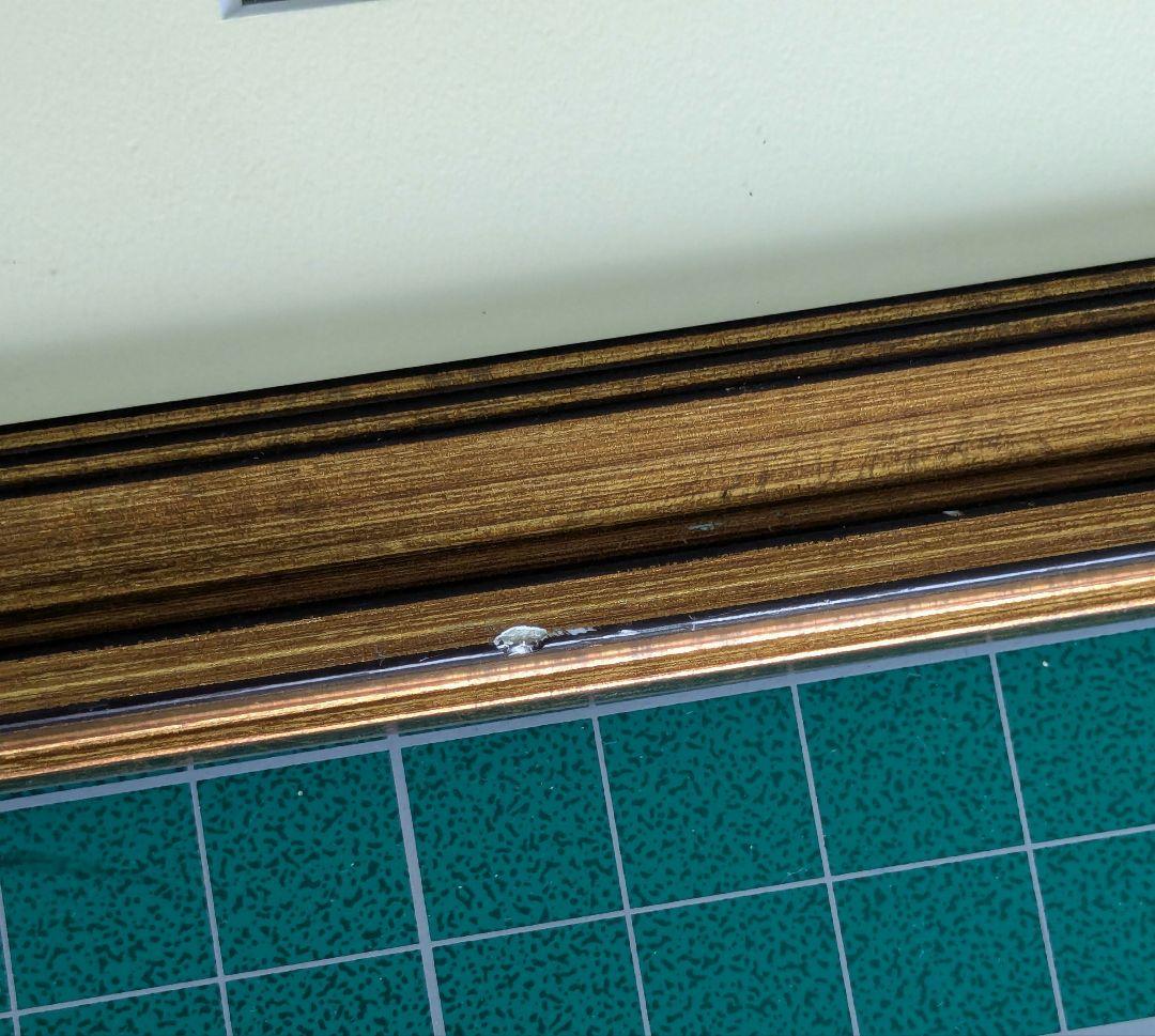 キャラファイングラフ　女神異聞録ペルソナ　 園村麻希