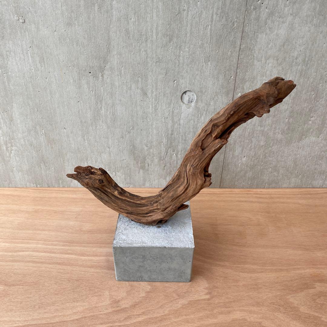 コンクリート盆栽 流木 オブジェ ディスプレイ 高級感 スタイリッシュ アート