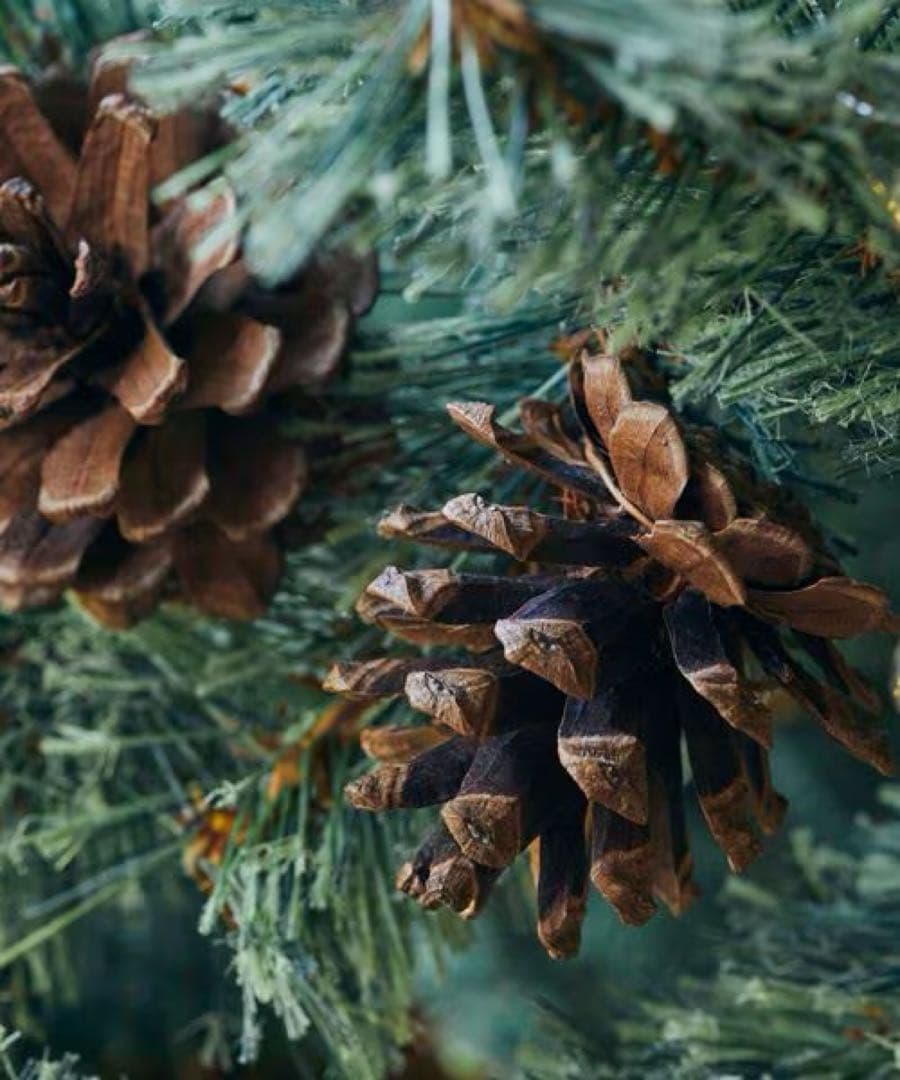 FILA　150cm人工クリスマスツリー 赤と金のオーナメント