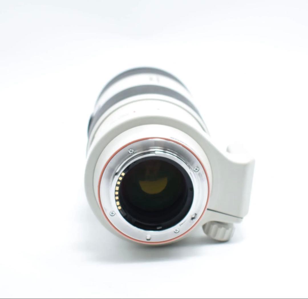 Sony Aマウント 70-200mm f2.8 Gレンズ SAL70200G