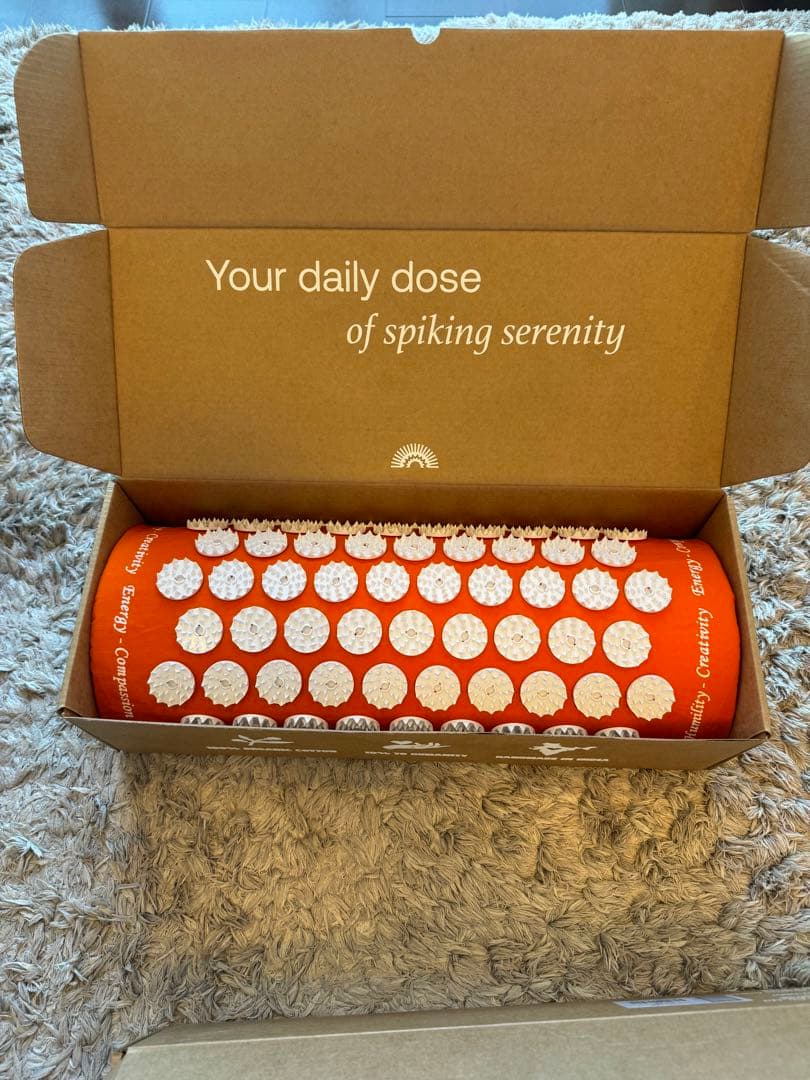 【正規品】究極のシャクティセット　シャクティマット　シャクティピロー