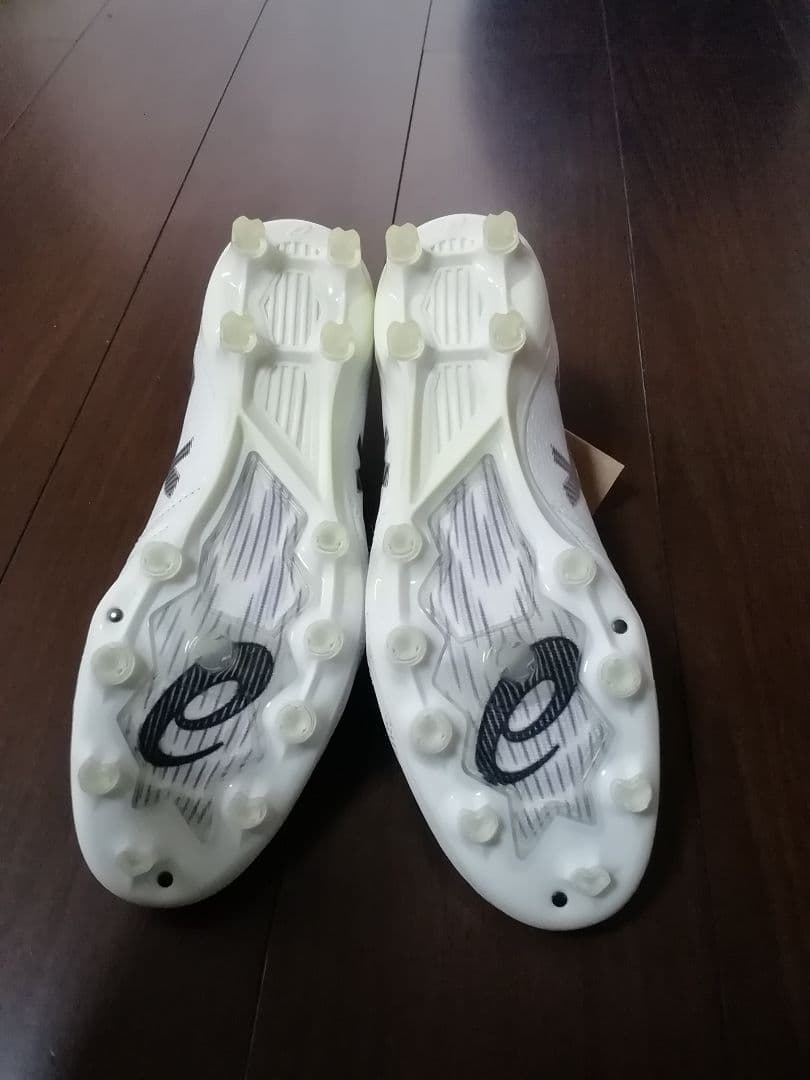 未使用　28.0cm DS LIGHT X-FLY PRO 2　ASICS