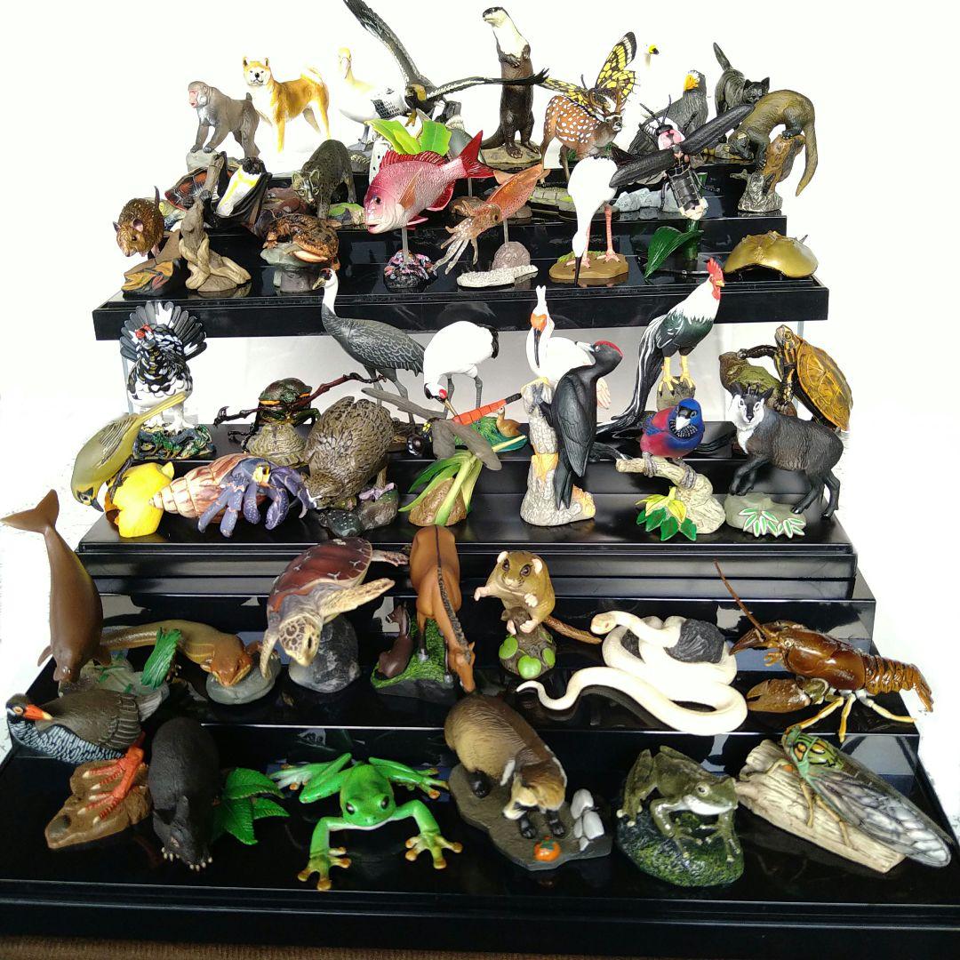 海洋堂 週刊日本の天然記念物 動物編 フィギュア 52体＆冊子50