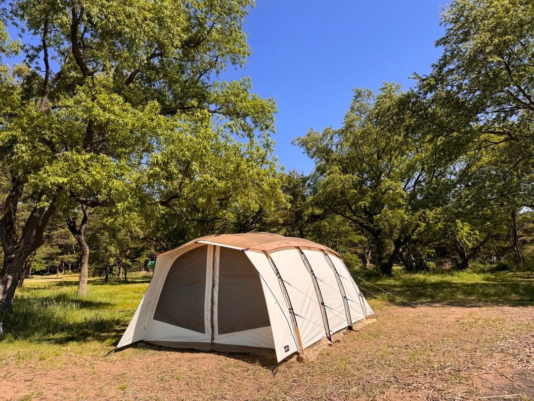 オガワ　アポロンTC 美品　2/2