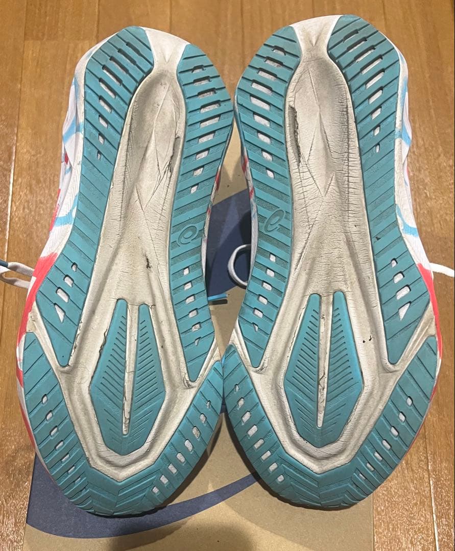 asics NOVABLAST5 TOKYO 26.5cm 東京マラソンカラー