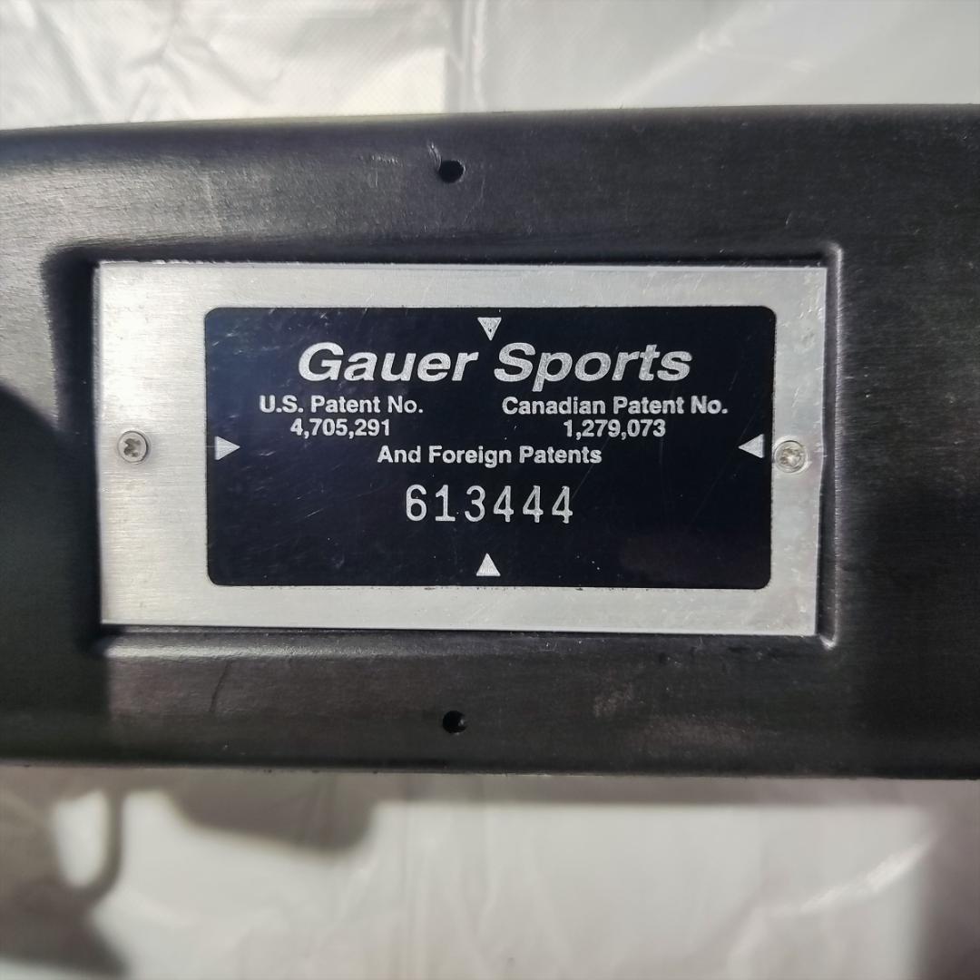【希少・ファンスキー】Gauer ガウアー＋チロリア660＋収納バッグ セット
