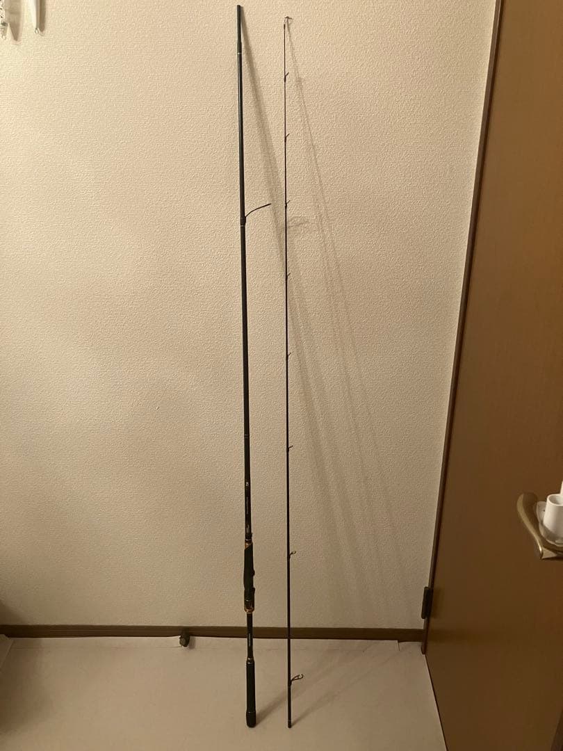 ☆ダイワ 21モアザン ブランジーノ EX AGS 1010ML/M☆