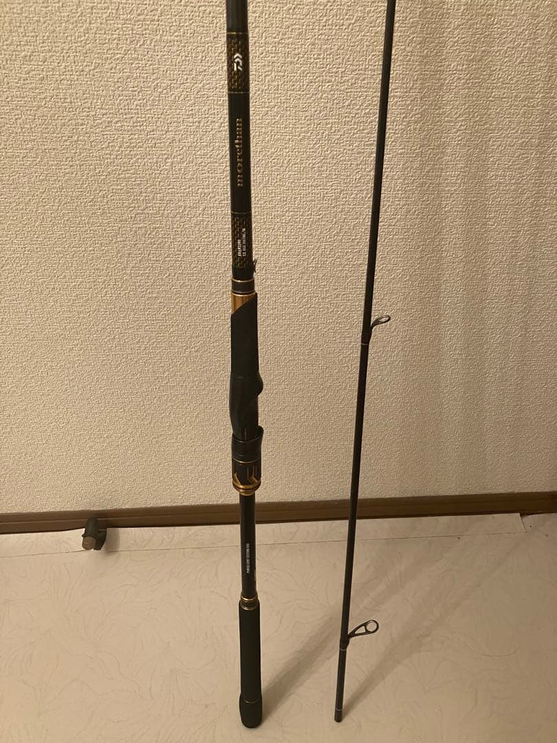 ☆ダイワ 21モアザン ブランジーノ EX AGS 1010ML/M☆