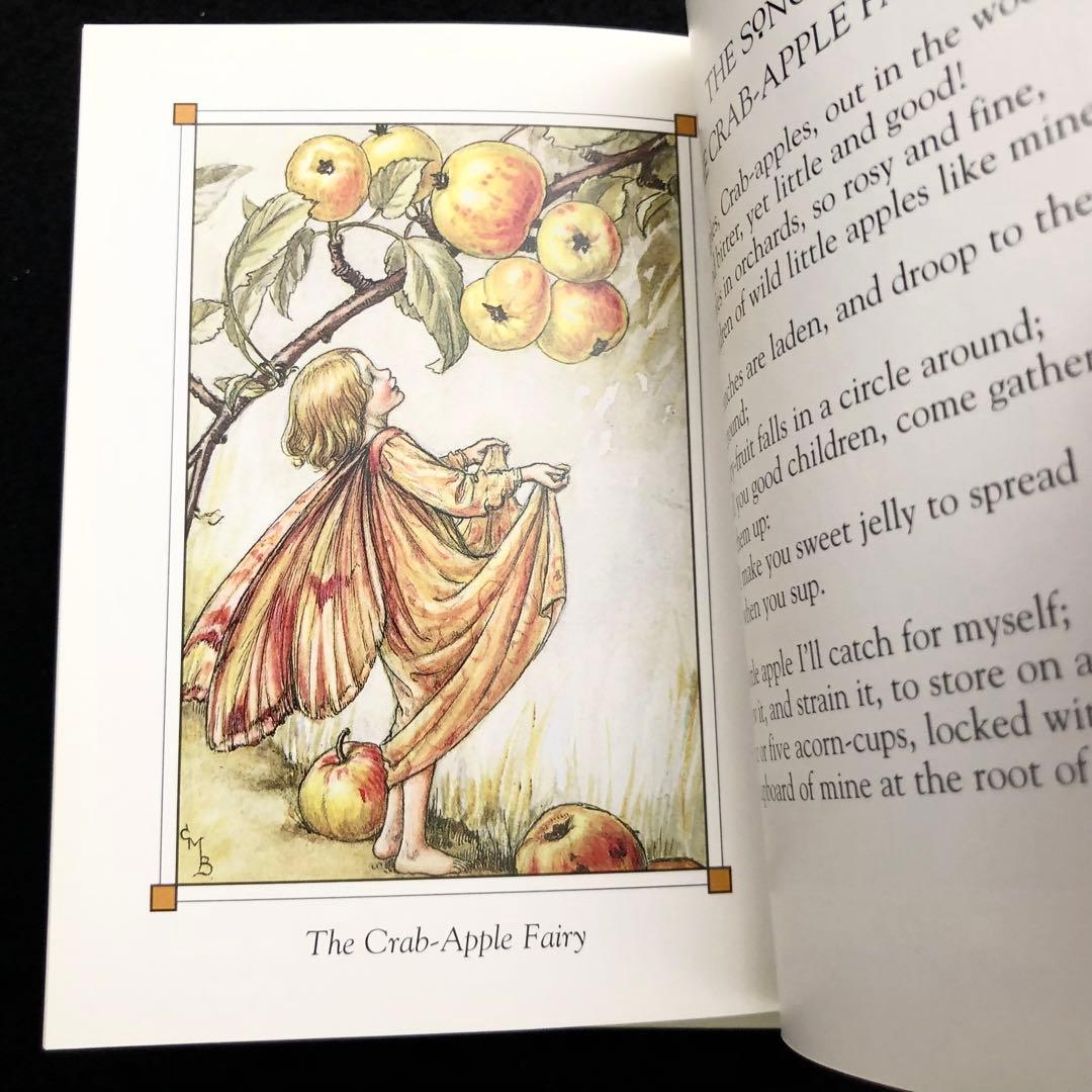 シシリーメアリーバーカー 画集「花の妖精たち 秋 Flower Fairies