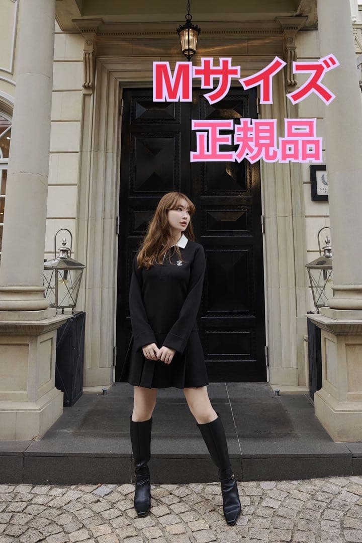 herlipto Mサイズ polo pleated mini dress