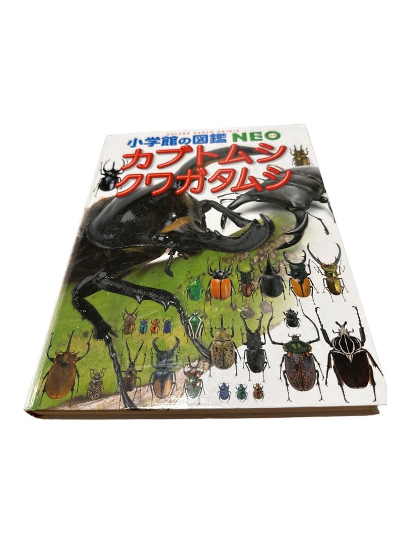 20冊セット　小学館の図鑑NEO キッズぺディア　謎の図鑑