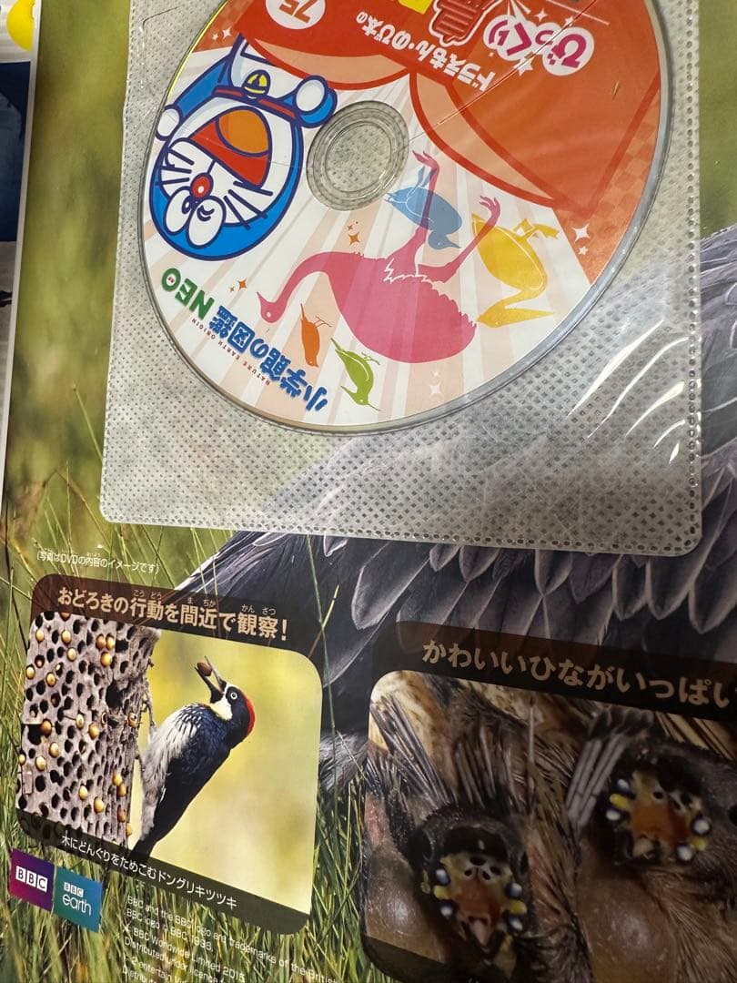 20冊セット　小学館の図鑑NEO キッズぺディア　謎の図鑑