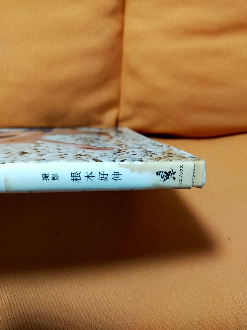 未開封付録DVD次】前田憂佳 写真集 スマイレージ - メルカリ