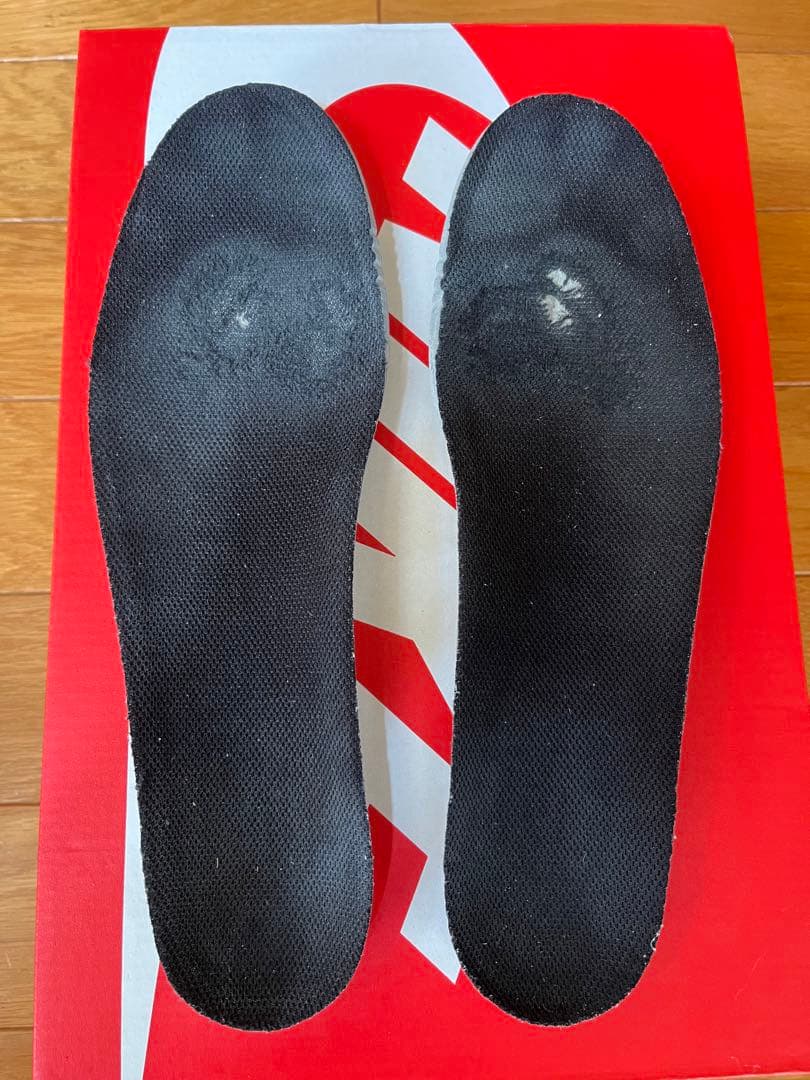 NIKE GOLF DUNK 27.0㎝