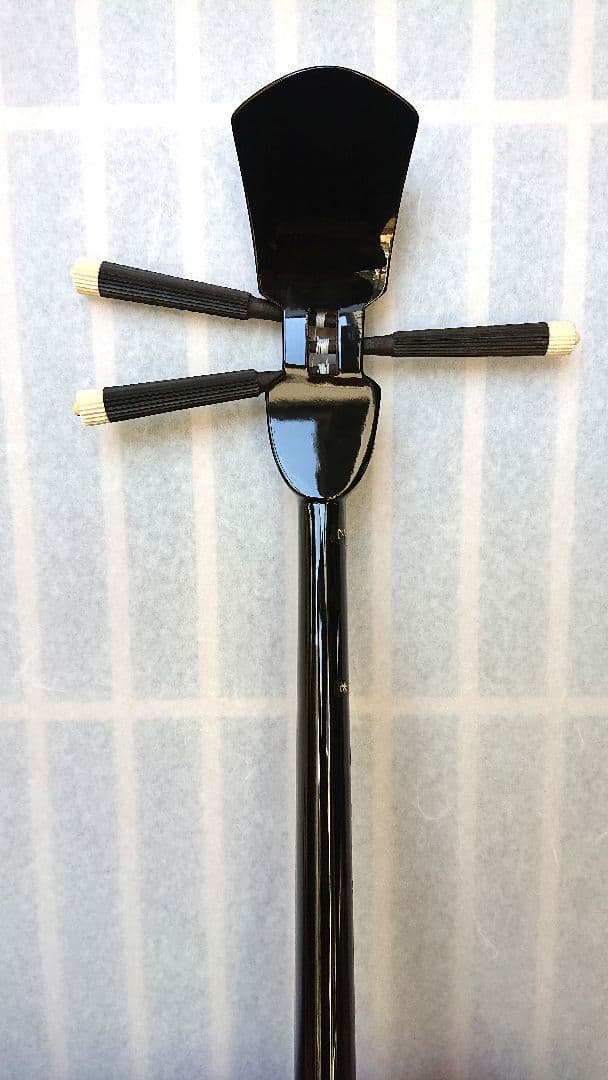 沖縄三線 人工皮張り 初心者用 鍵付きハードケースのセット