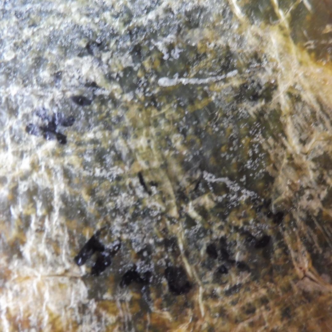 ホフマン コックハックル BLACK