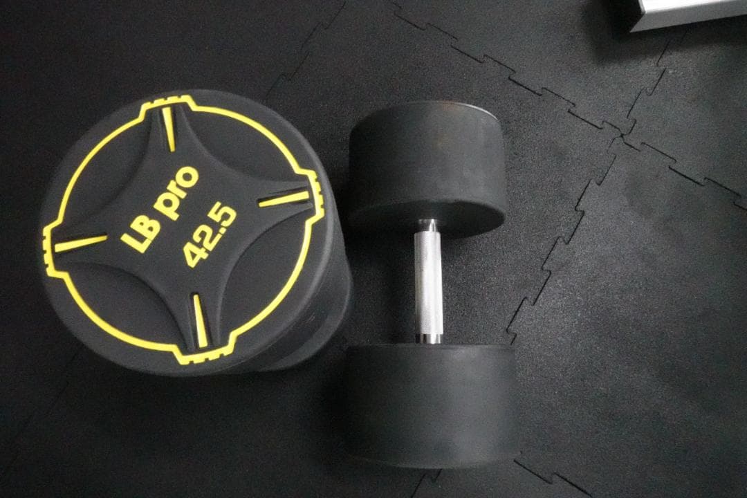 TPUダンベル　22.5kg  2個