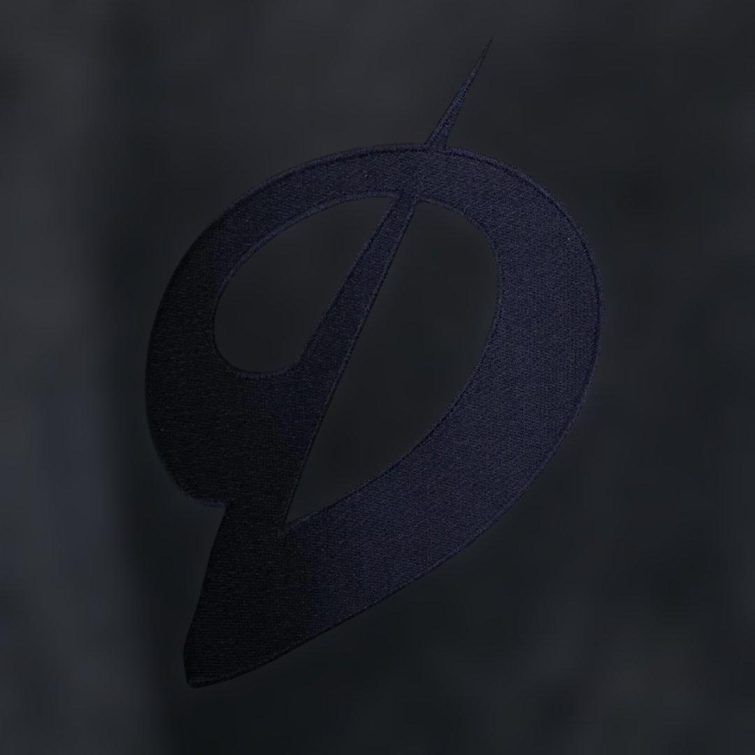 【激レア】中日ドラゴンズ スタジアムジャケット L スタジャン 5周年記念限定