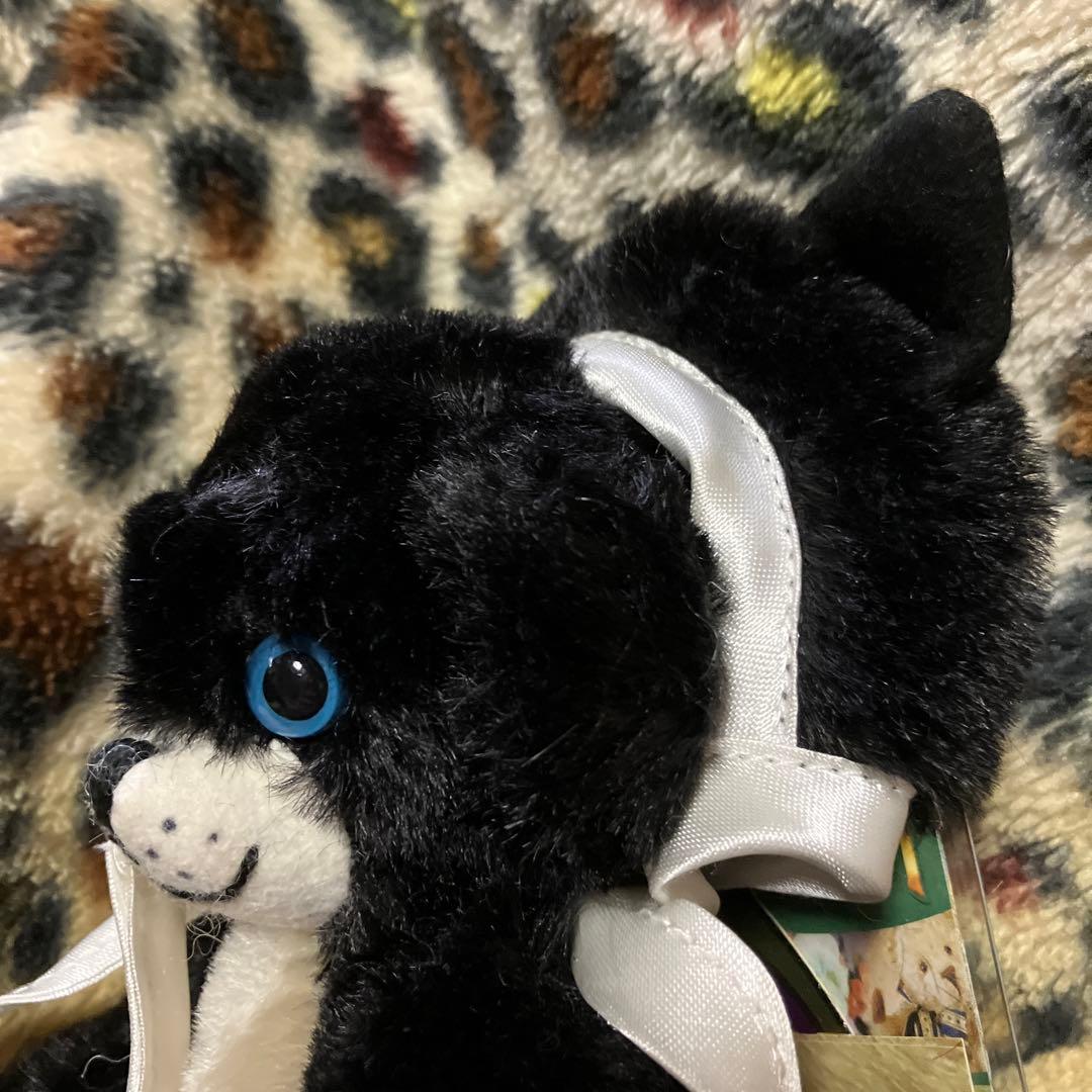 メリーソート チーキー