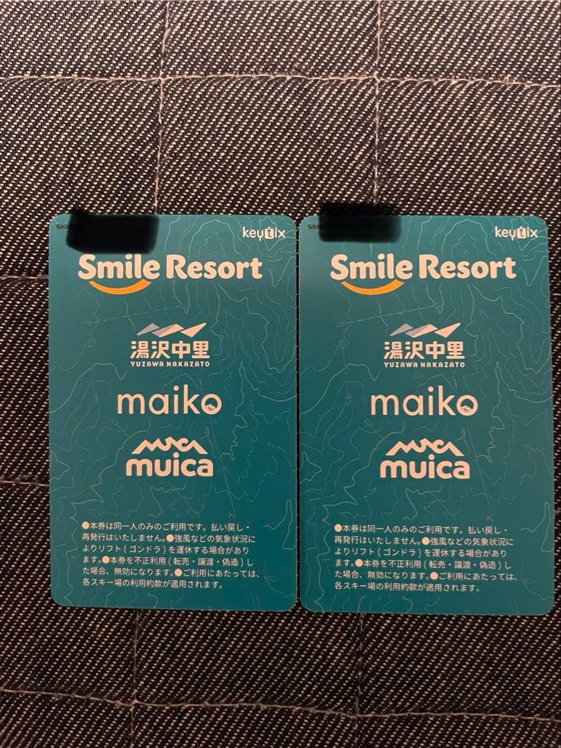 舞子スノーリゾートスキー場 リフト1日券 ICカード引換不要 大人2枚