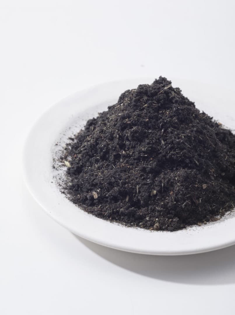 マールジャパン】希少カラー