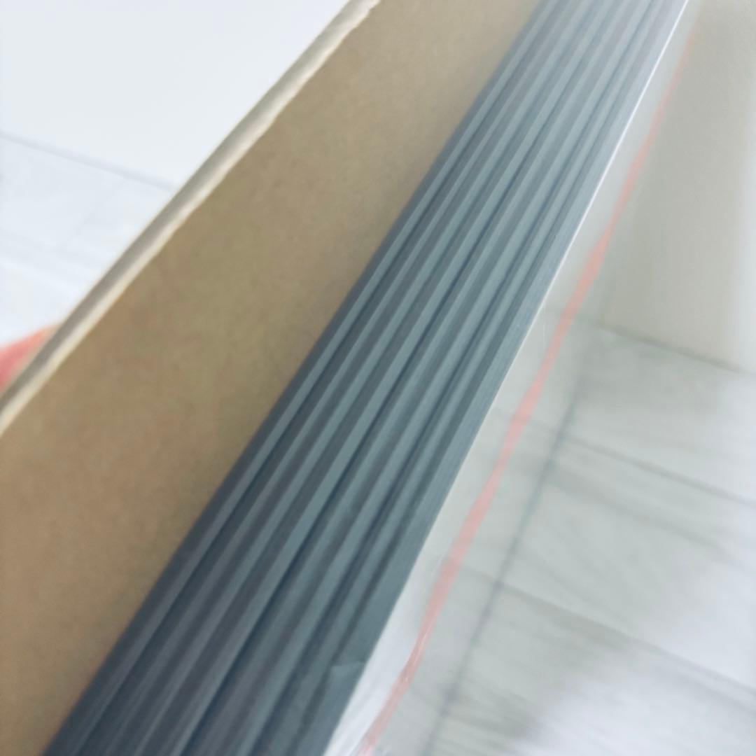 廃盤品　デルフォニックス　アルバム　Lサイズ　2冊　リフィル40枚セット