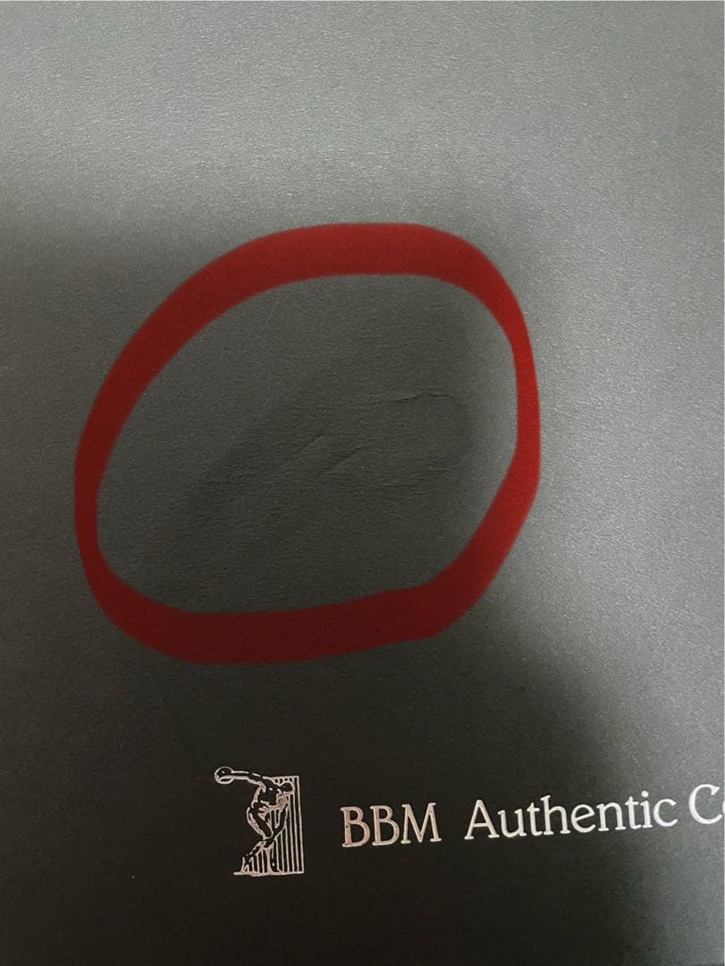 内川聖一選手 通算100本塁打記念 直筆サイン入りフォト オン