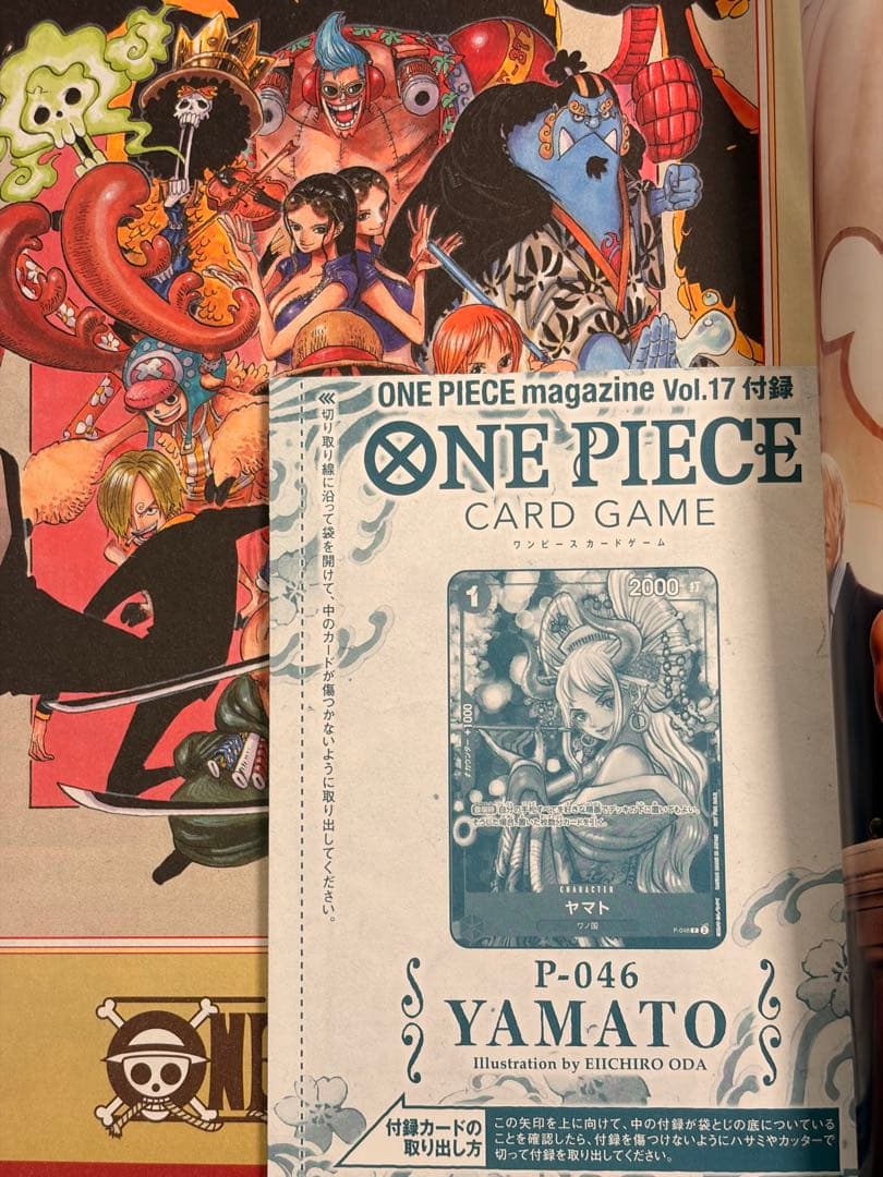 新品セット　ワンピース学園 10　ONEPIECE magazine 16 17