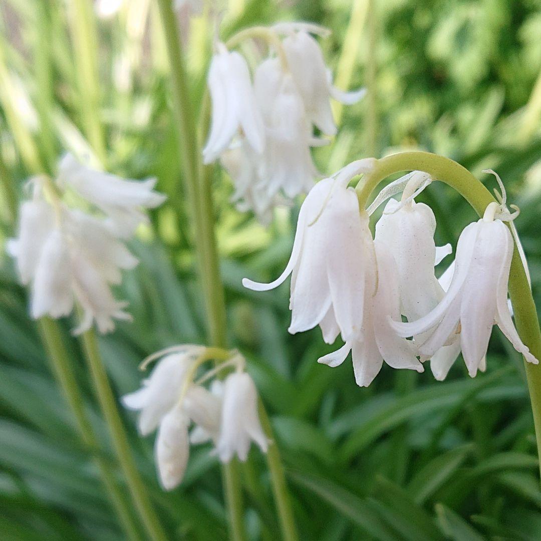 アップルパイ様 リクエスト 6点 まとめ商品 - メルカリ