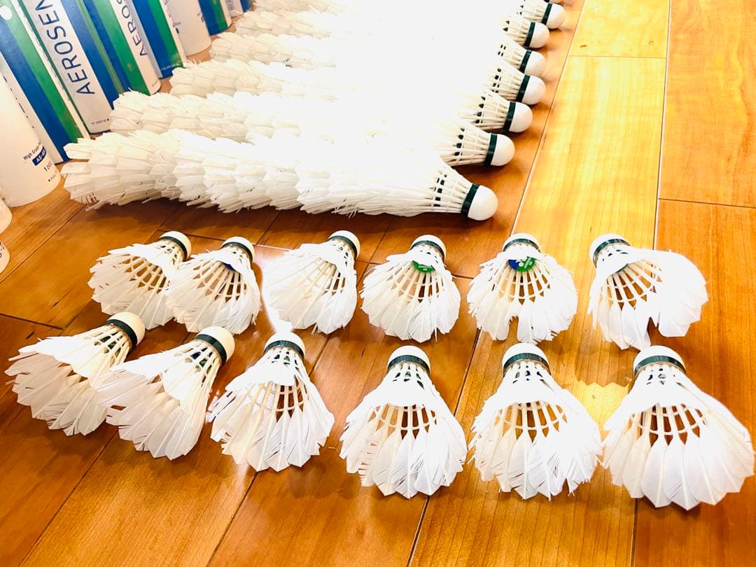 バドミントン 中古シャトル 360球