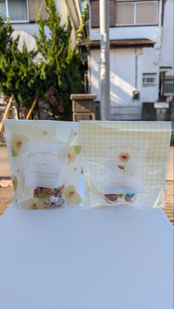 35☆薔薇と小華の舞姫姉妹❀✿☆．。．:*・゜