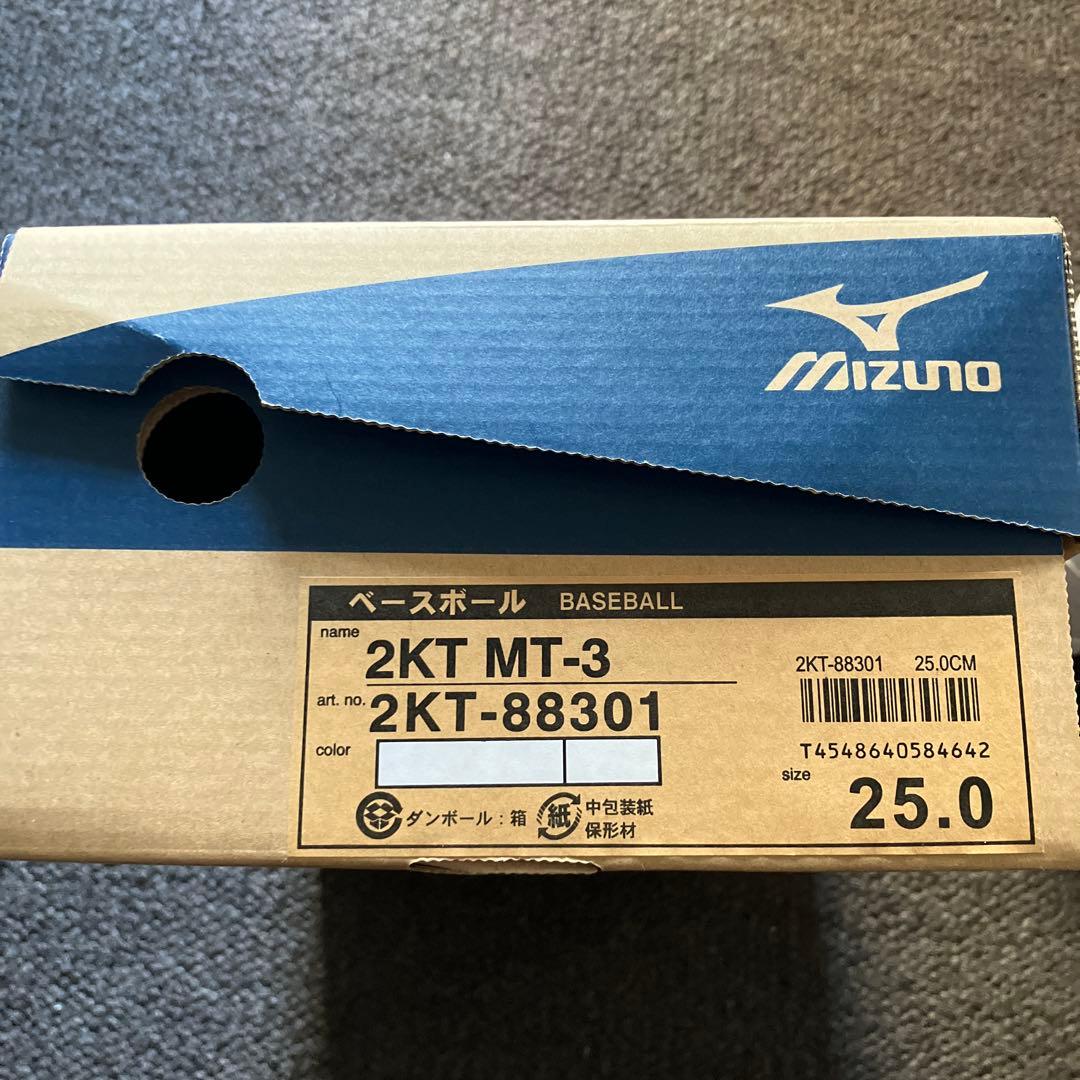Mizuno トレーニングシューズ ホワイト ベルクロ