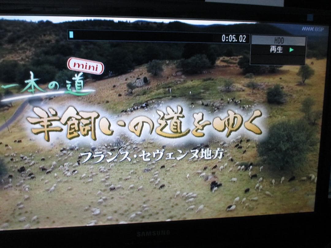 Panasonic 750GB 2チューナーBDレコーダーDMR-BWT1000