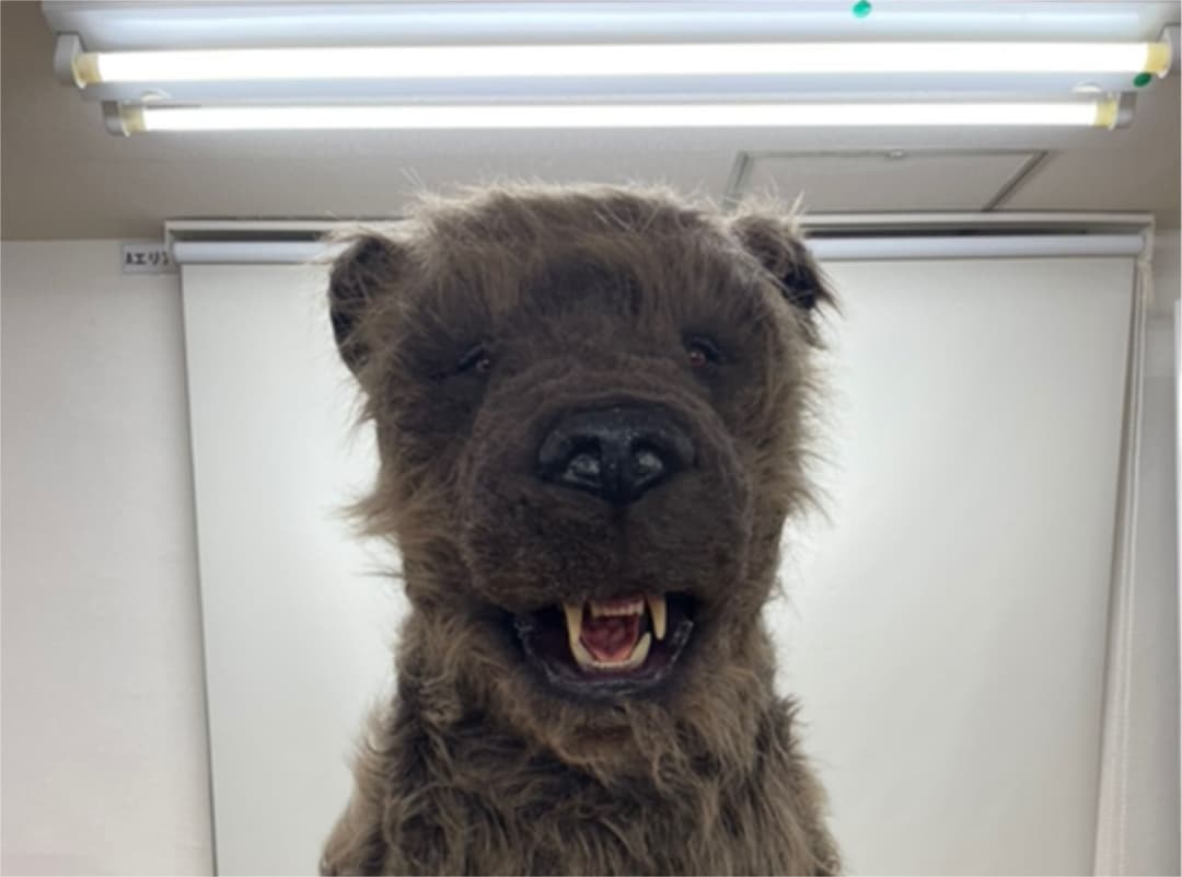 まるで本物！リアルなクマの着ぐるみマスク