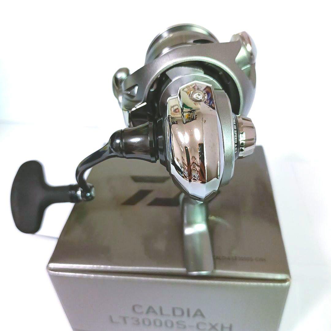 ダイワ 25カルディアLT3000S-CXH