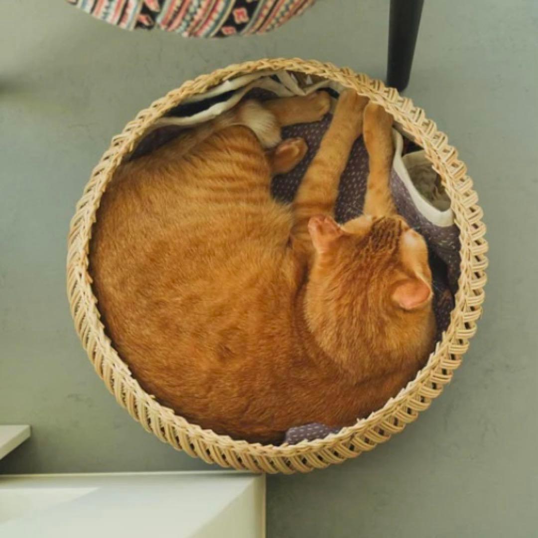 【美品】オルネコ オリジナル・スタンドバスケット　天然素材 編み込みバスケット