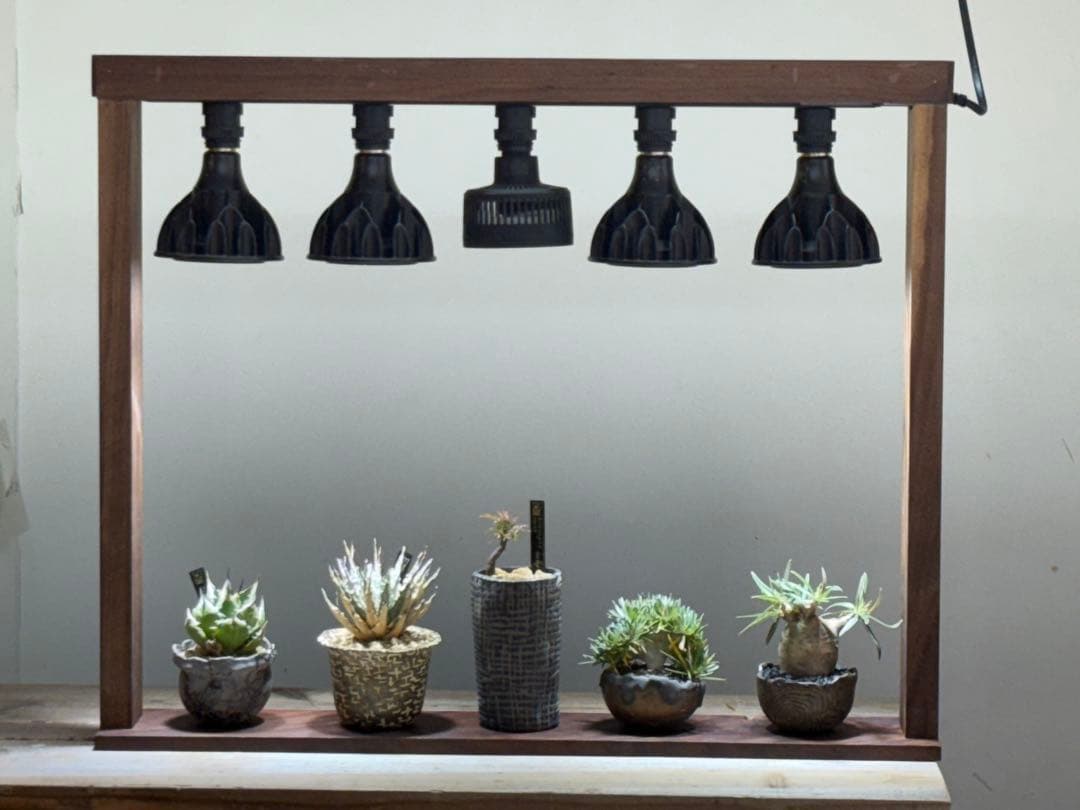 ウォルナット　植物用LEDライトスタンド