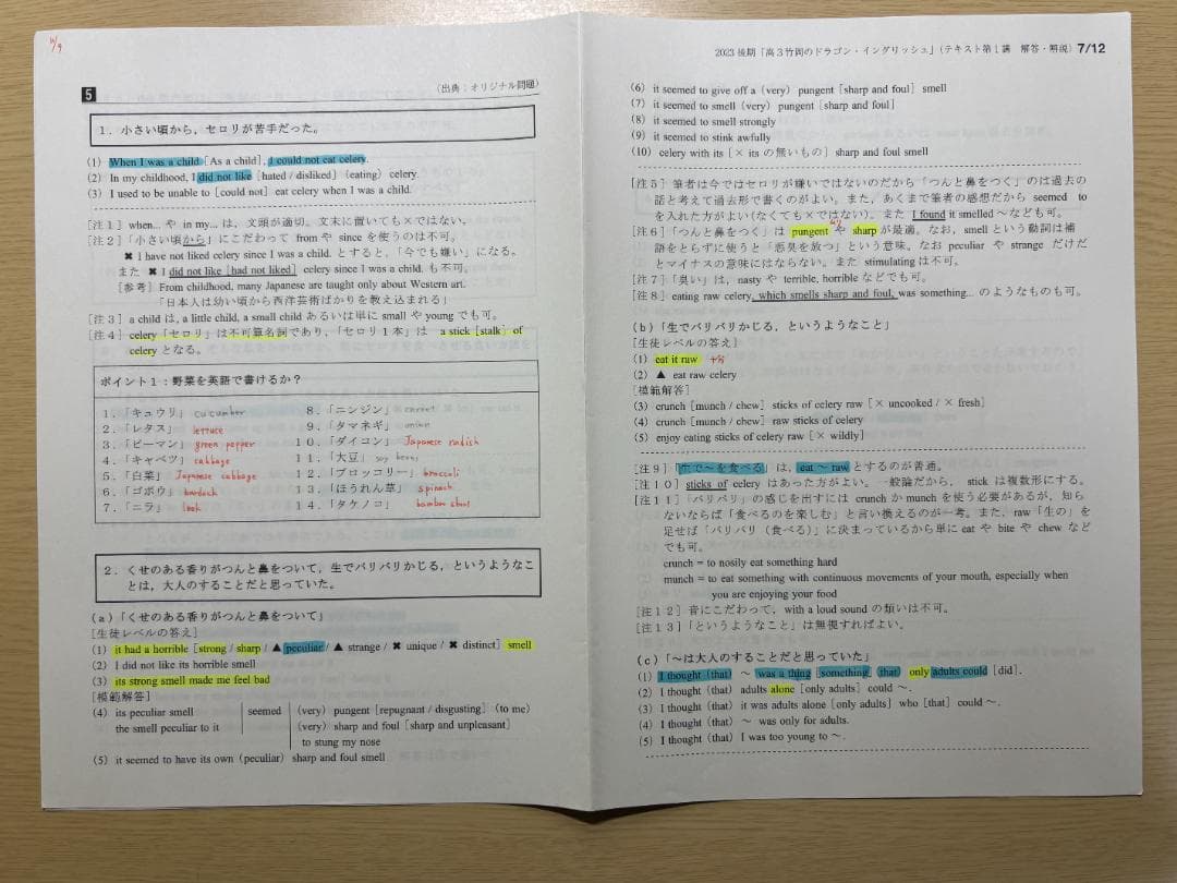 【最終価格】駿台 高3竹岡のドラゴンイングリッシュ 2023年度 全セット