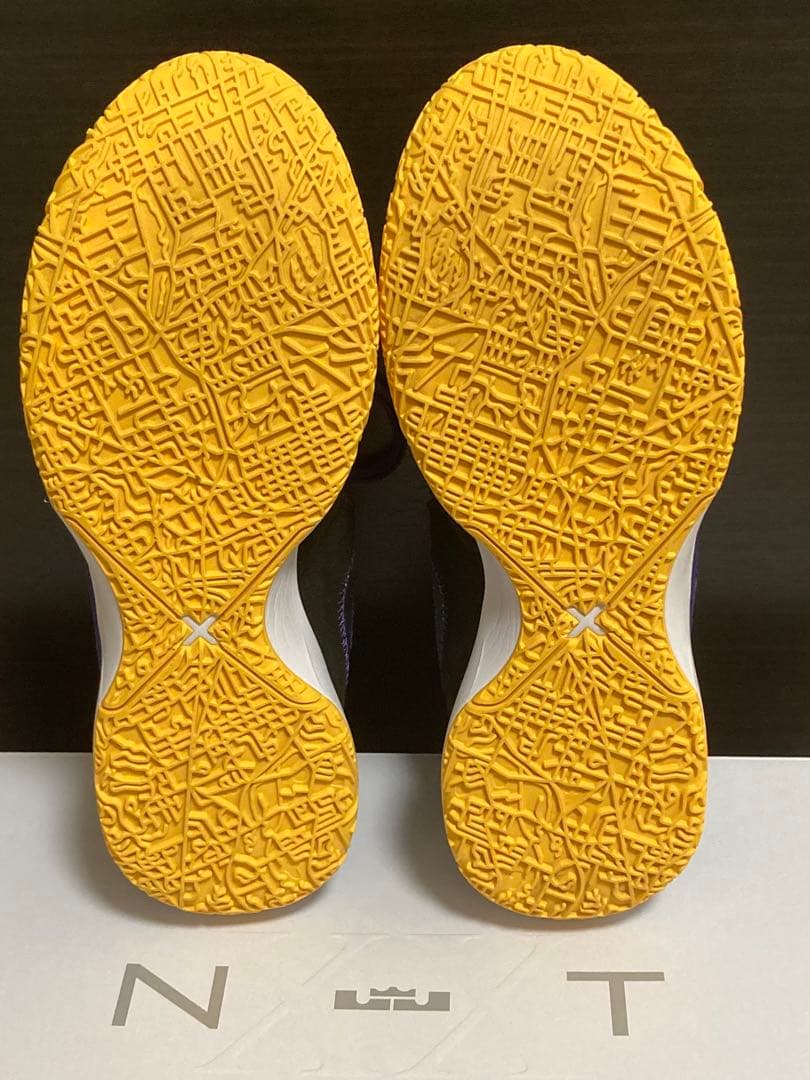 シューズ(男性用) LeBron NXXT Gen EP \"Lakers\"