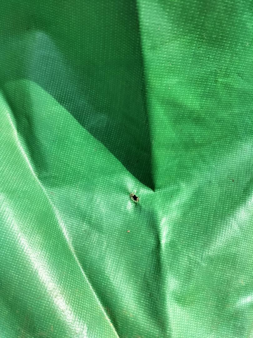 小川テント　オーナロッジ　ミネルバ　オガワ