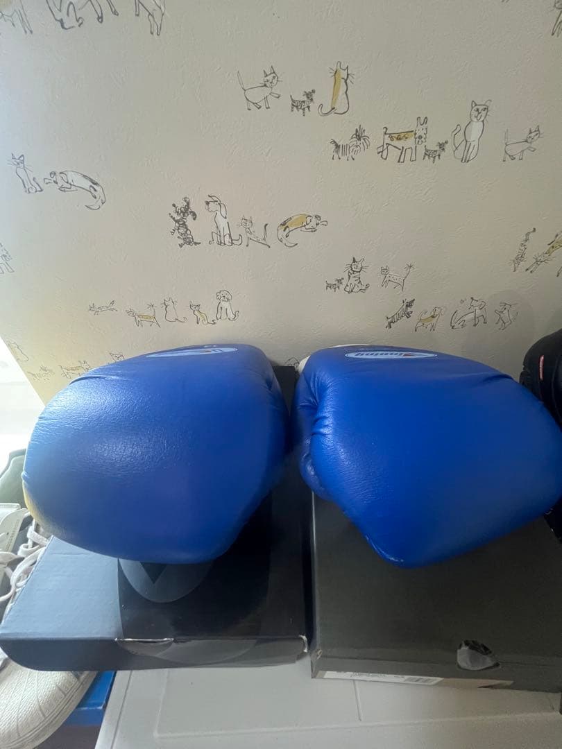 Winning ボクシンググローブ 14oz 青　ソフトタイプ