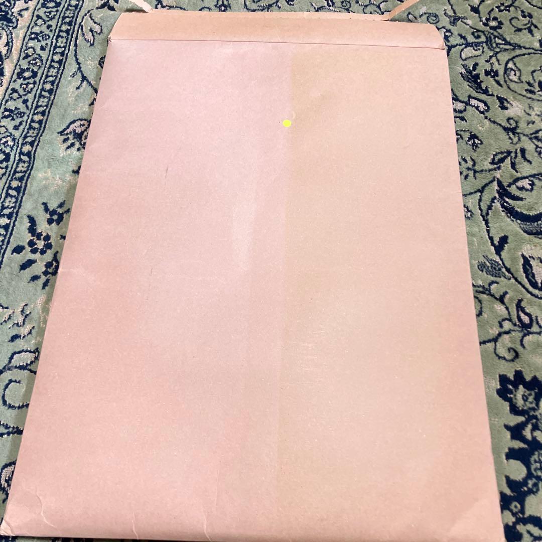 希少　紋黄蝶　ミナペルホネン　カタログ　小松菜奈　2011年　入手困難　絶版